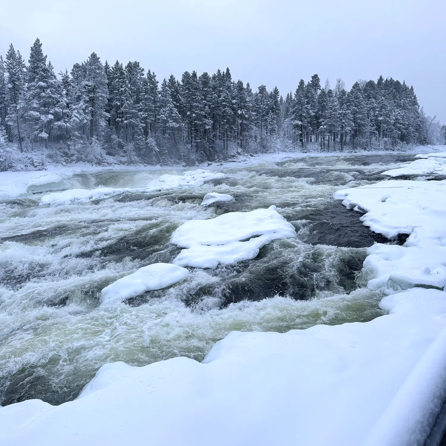 Winterexpedition 2026 - Bild 2